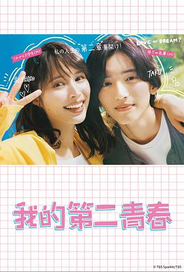 信息类网站优化服务